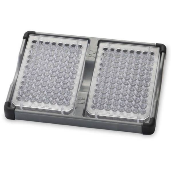 30400213 Double Microplate Holder